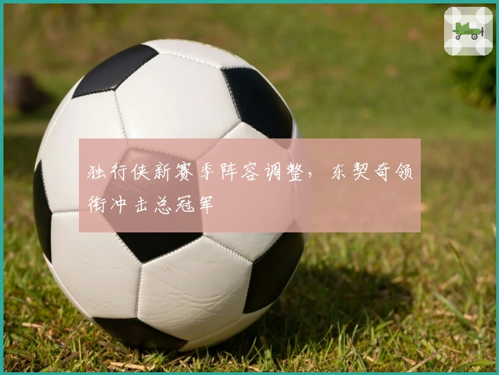 独行侠新赛季阵容调整，东契奇领衔冲击总冠军