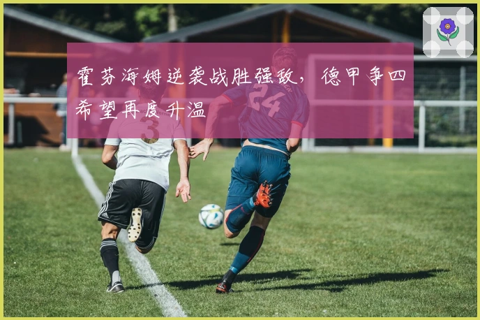 霍芬海姆逆袭战胜强敌，德甲争四希望再度升温