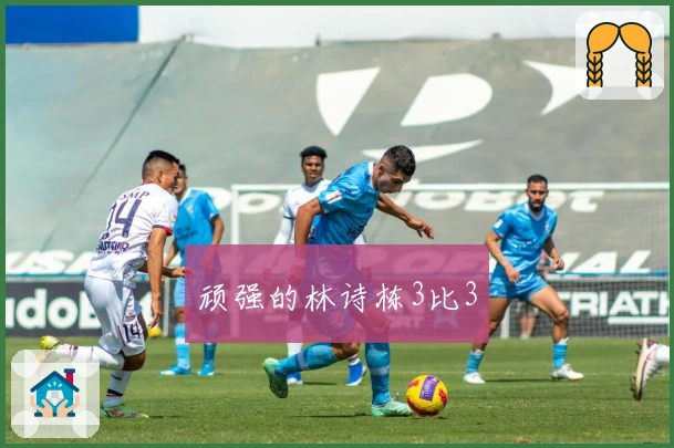 顽强的林诗栋3比3