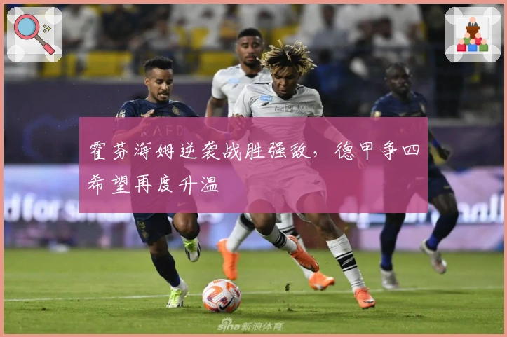 霍芬海姆逆袭战胜强敌,德甲争四希望再度升温